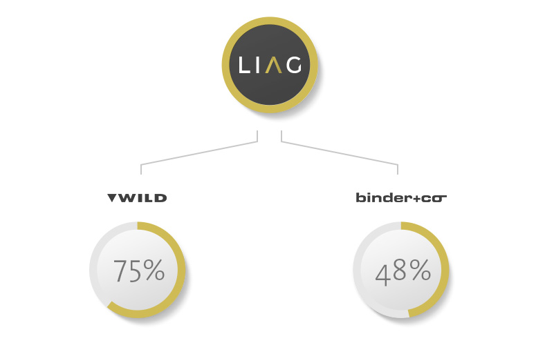Liaunig Industrieholding AG - Beteiligungen
